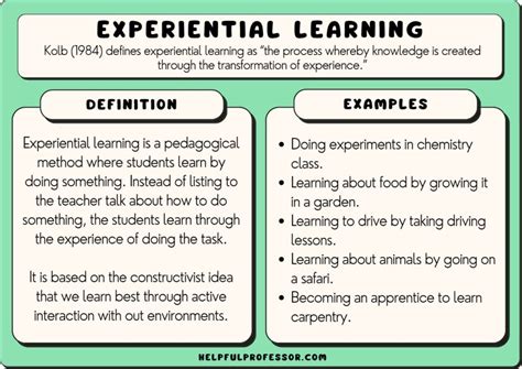  Learning Through Experience - An Artistic Exploration of Educational Theory