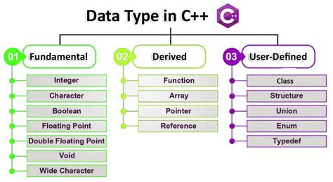 Understanding Data Structures with C++: A Spanish Journey into the Heart of Programming