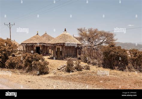 Understanding Urban Gardens: A Practical Guide for Ethiopian Homes